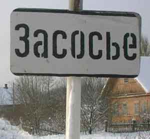 поселок Засосье в Ленинградской обл